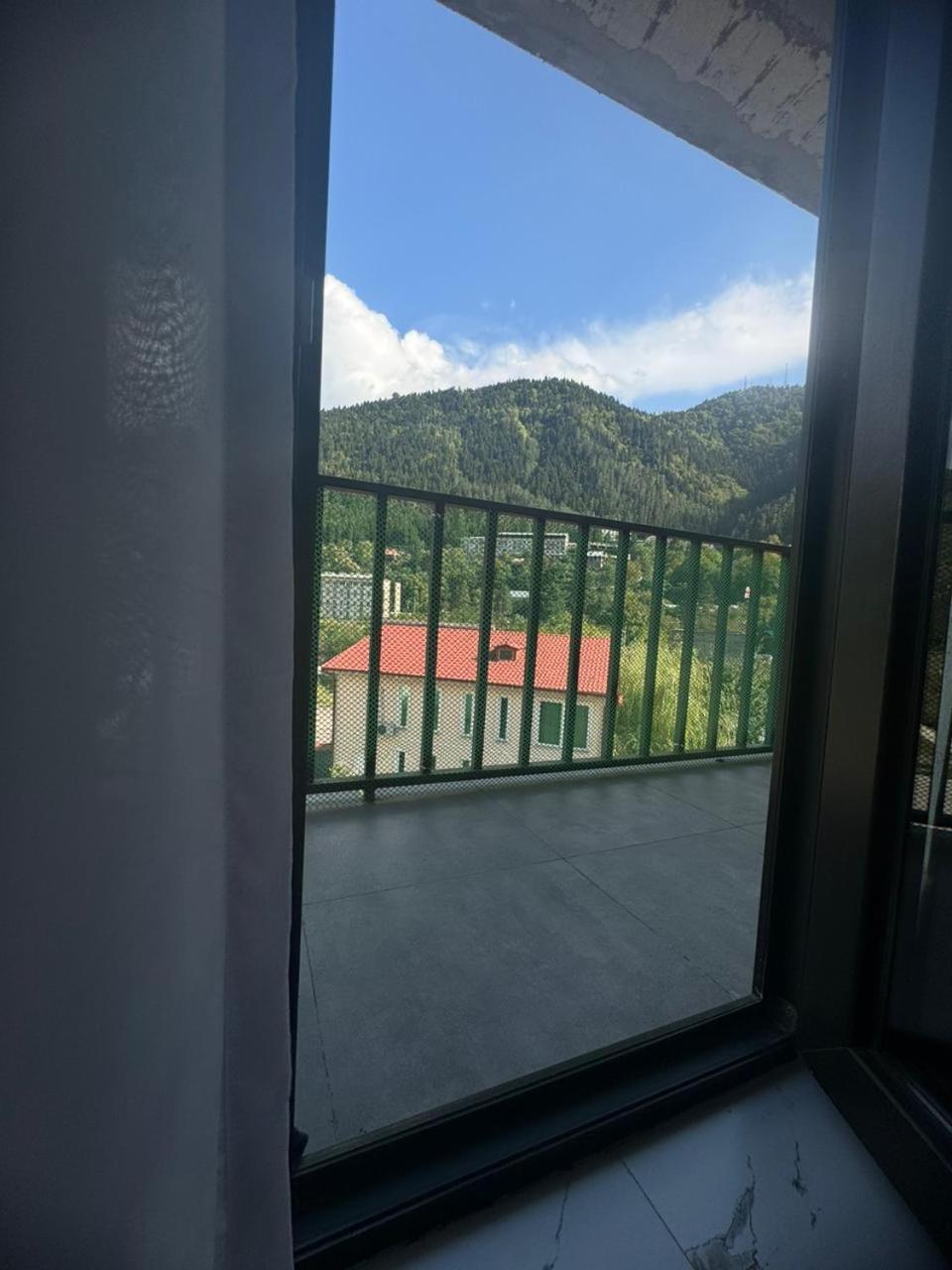 New Apartments In Borjomi Room photo